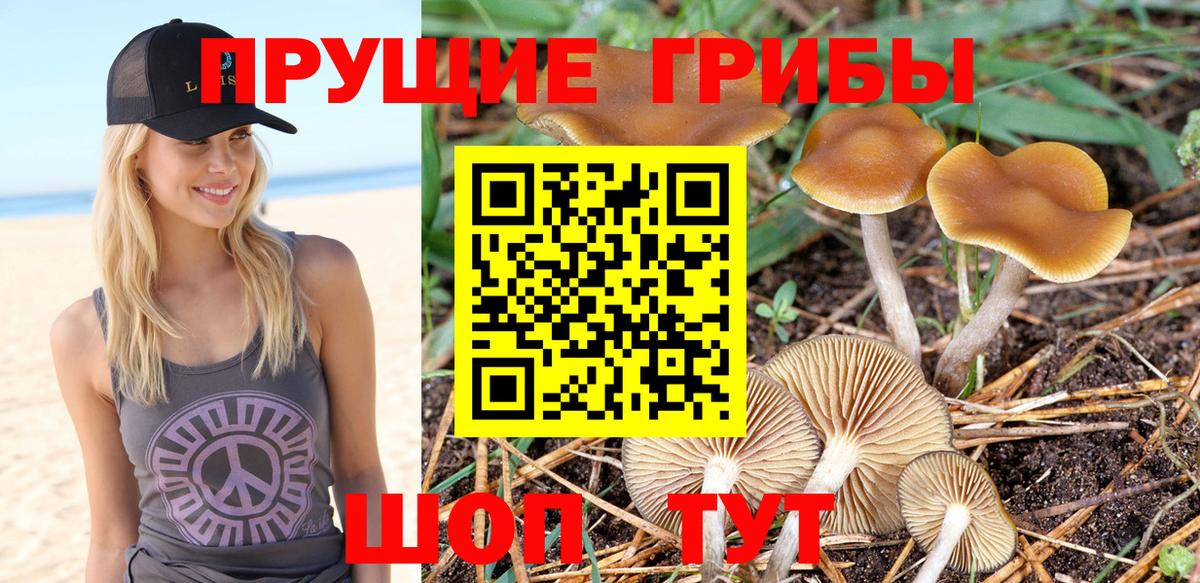 Псилоцибиновые грибы мицелий Киров