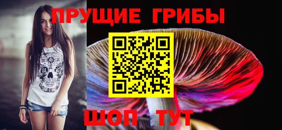 Галлюциногенные грибы MAGIC MUSHROOMS  цена   Псилоцибиновые грибы Psilocybine cubensis  Киров  Вход с VPN 