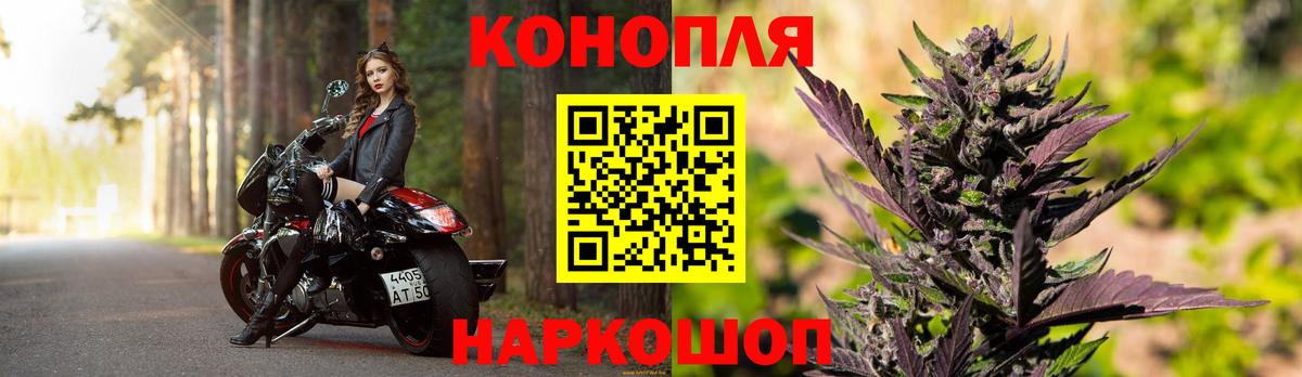 Киров  Шишки марихуана тримм  Бошки Шишки тримм  Вход с VPN  МАРИХУАНА White Widow 